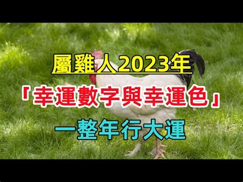 雞 幸運色|雞年開運色：2024年必備指南